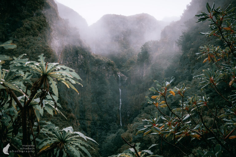 Madeira fotografieren – die besten Fotolocations für Naturfreunde