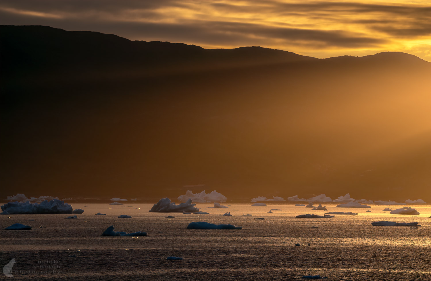 Grönland Kajaktour –  Eisberge im Sonnenuntergang