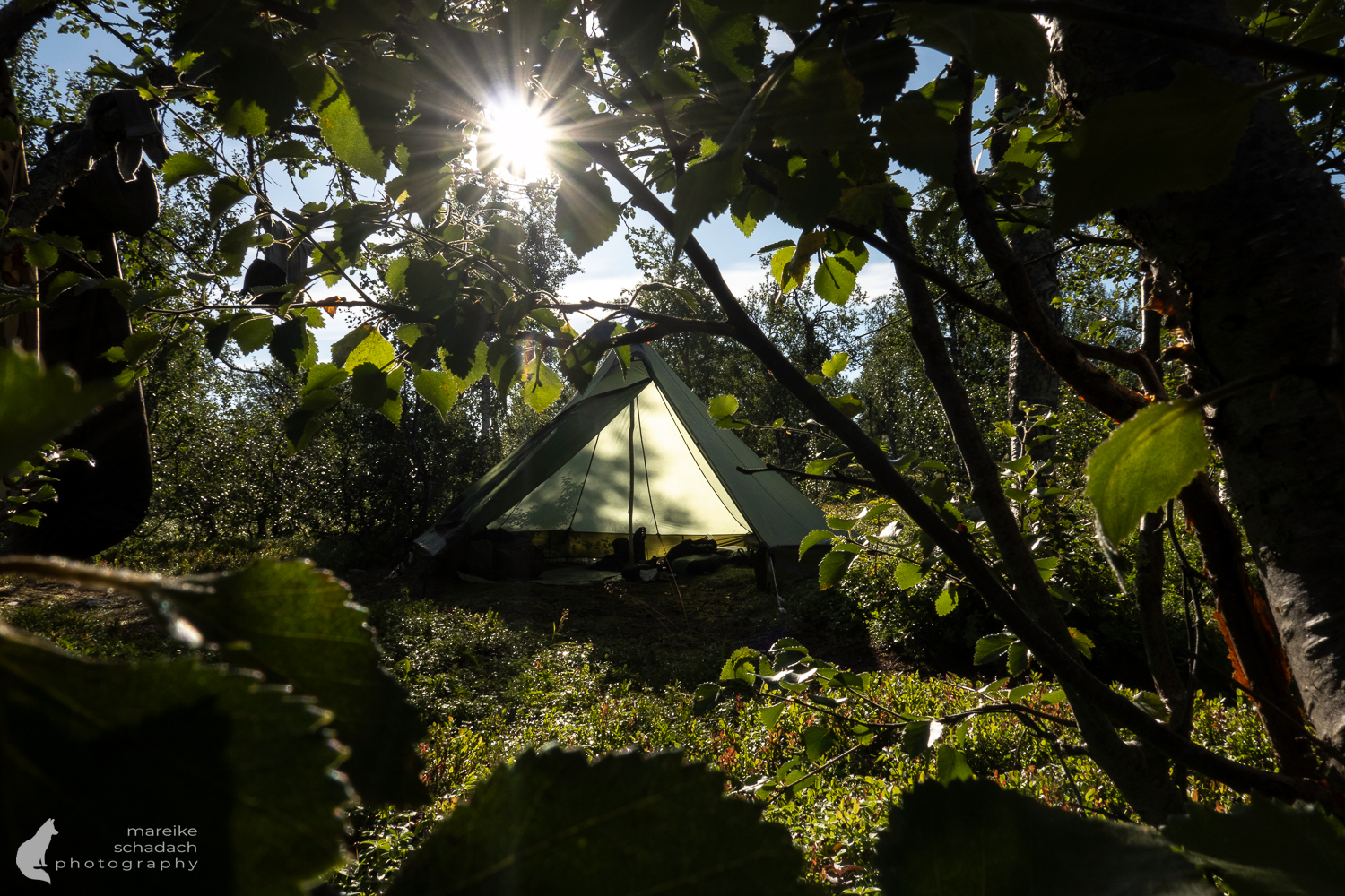Camp am Kungsleden beim Wilderness Guide Training in Schweden mit der Guide Academy Europe