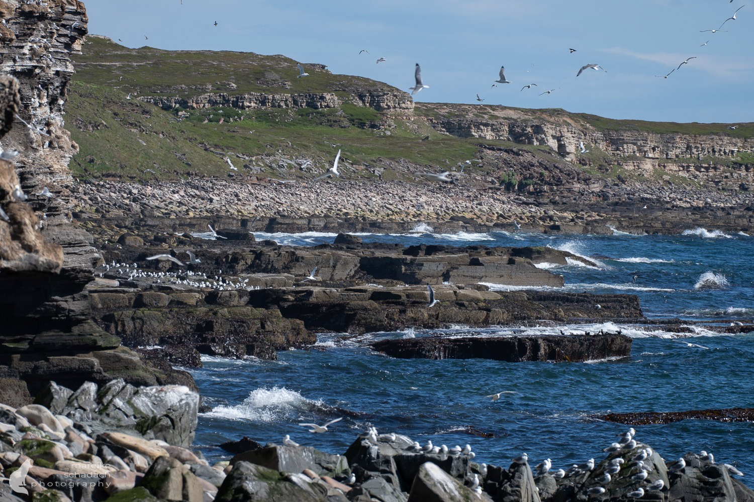 Varanger Fjord: Ekkerøy