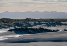 Ausflug zu den Dünen von Farewell Spit, Neuseeland