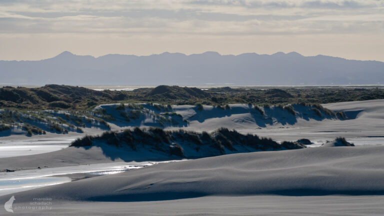 Ausflug zu den Dünen von Farewell Spit, Neuseeland