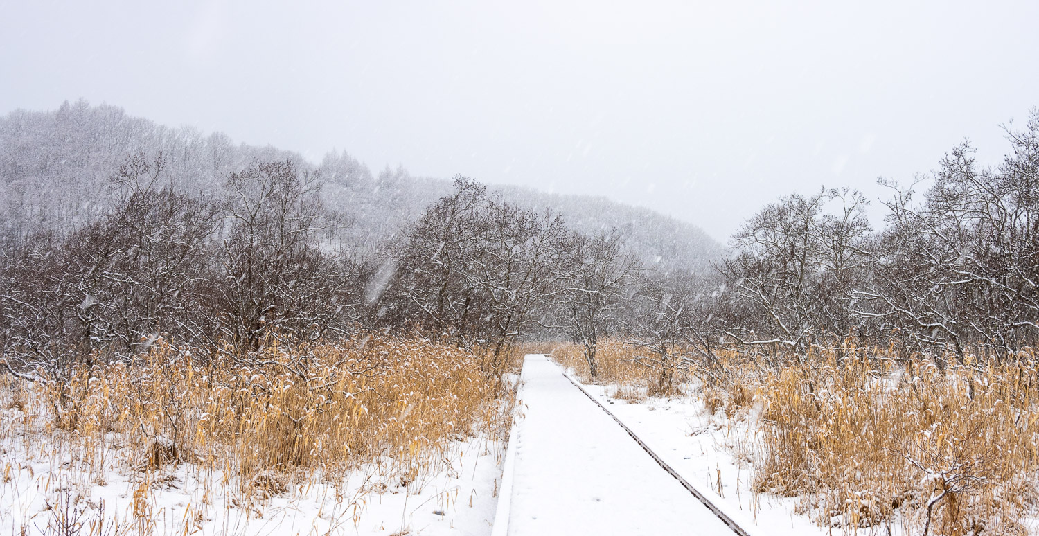 Kushiro Wetland 