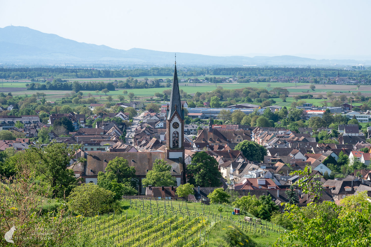 Ihringen am Kaiserstuhlpfad