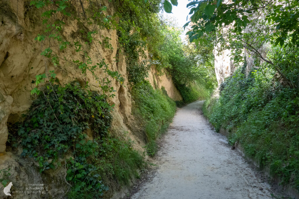 Hohlgasse am Kaiserstuhlpfad