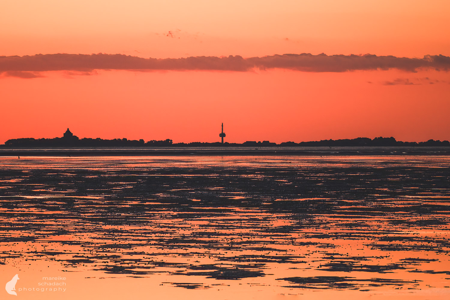 Insel Neuwerk – Birdwatching im Hamburger Wattenmeer