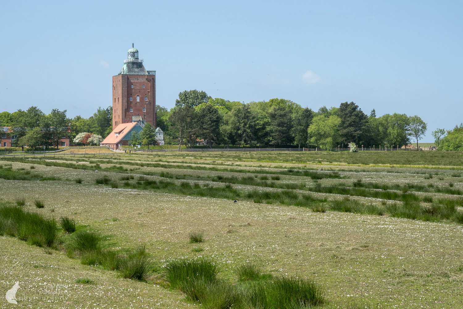 Leuchtturm Insel Neuwerk