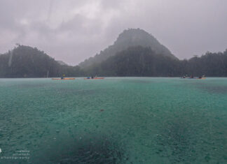 Tipps zum Fotografieren bei hoher Luftfeuchtigkeit im Dschungel Fotografieren im Dschungel bei hoher Luftfeuchtigkeit