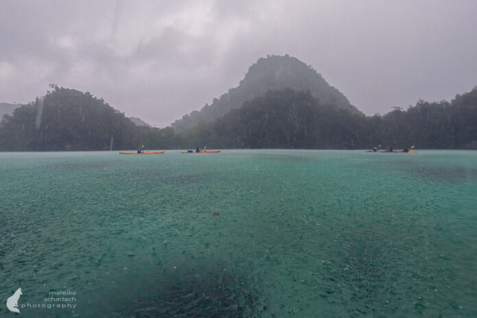 Untitled_1.21.7b Fotografieren im Dschungel bei hoher Luftfeuchtigkeit