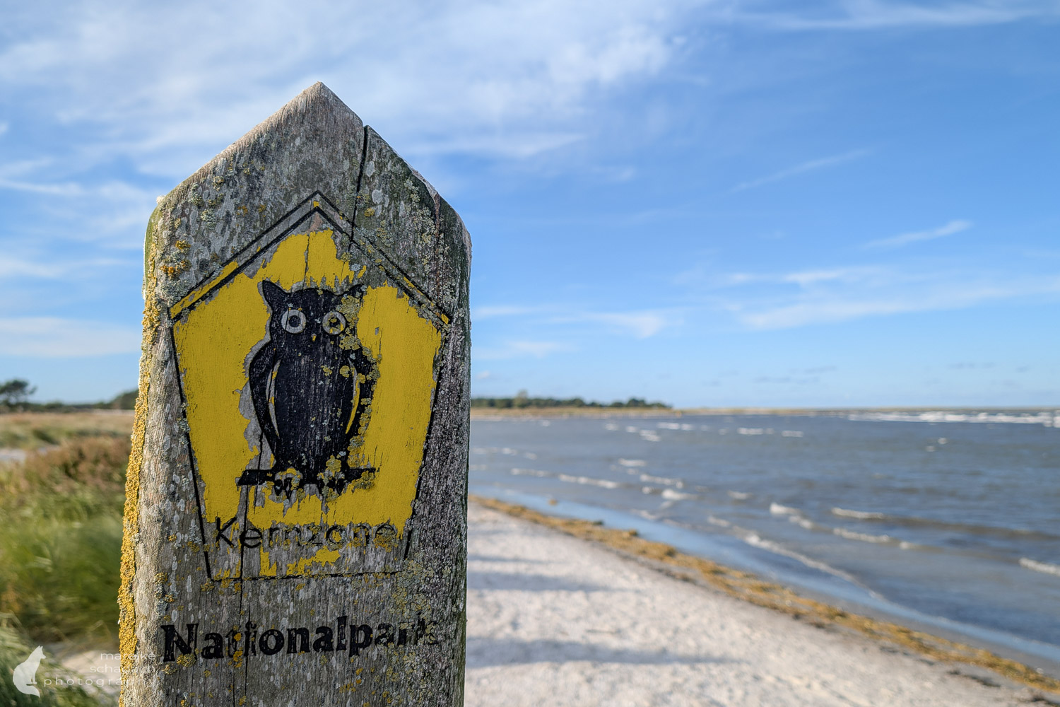 Nationalpark Vorpommersche Boddenlandschaft