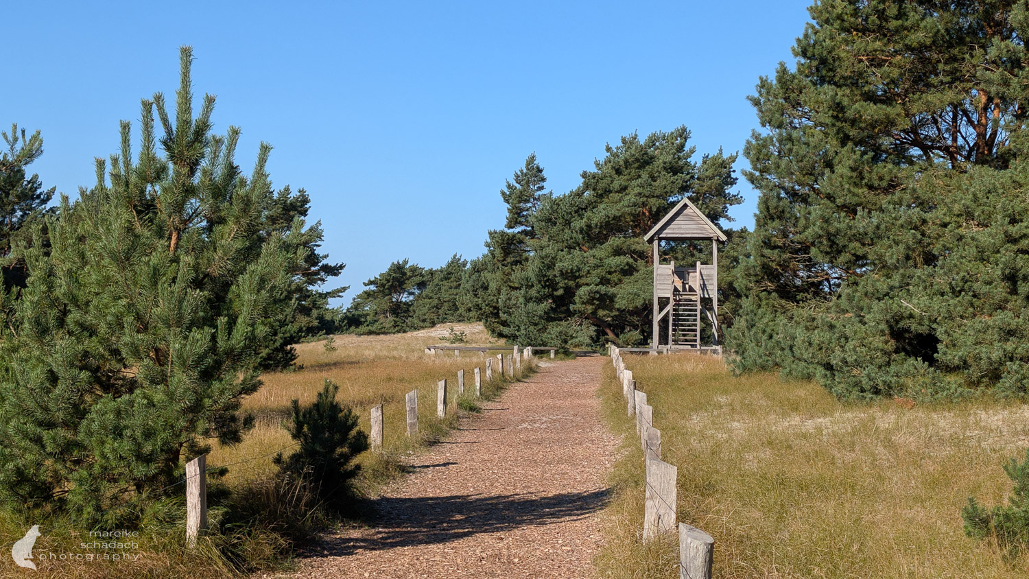Zwischen Hirschen und Meer  der Dar zur Brunftzeit | Fernweh-Motive