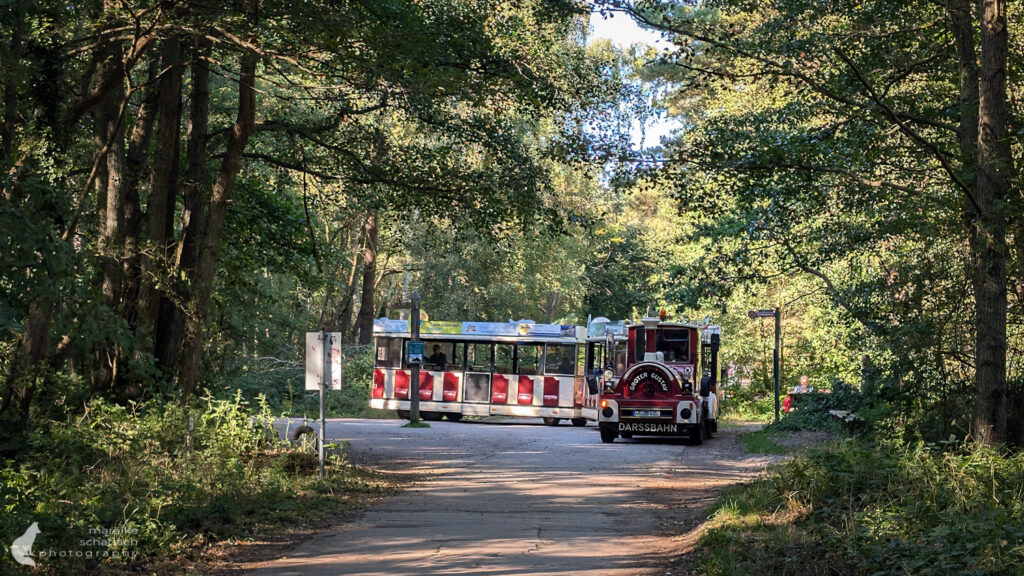 Darßbahn
