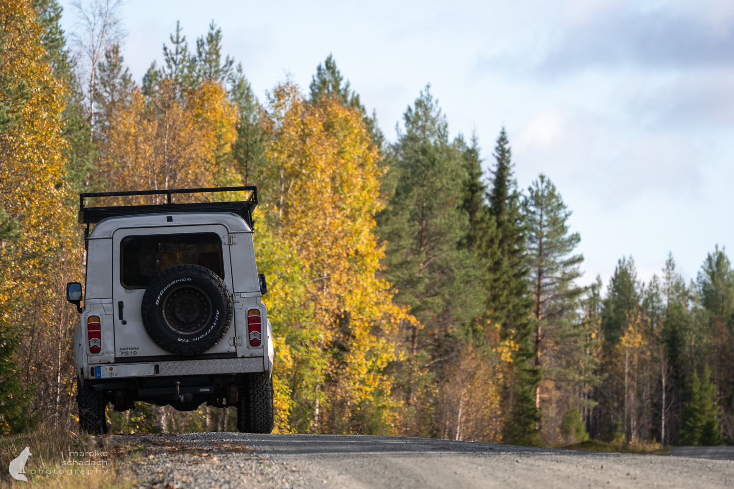Wildlife in Finnland: In Fotoverstecken lassen sich Wölfe, Bären und Vielfraße in ihrer natürlichen Umgebung beobachten und fotografieren. 