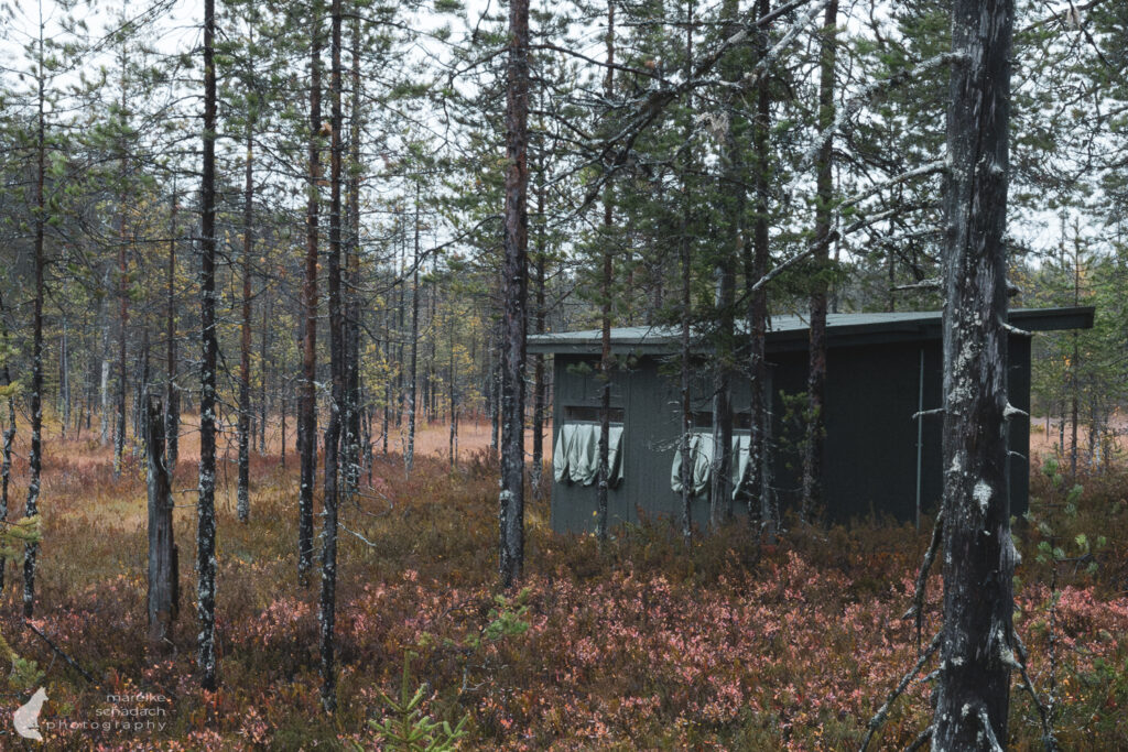 Fotoversteck in Finnland 