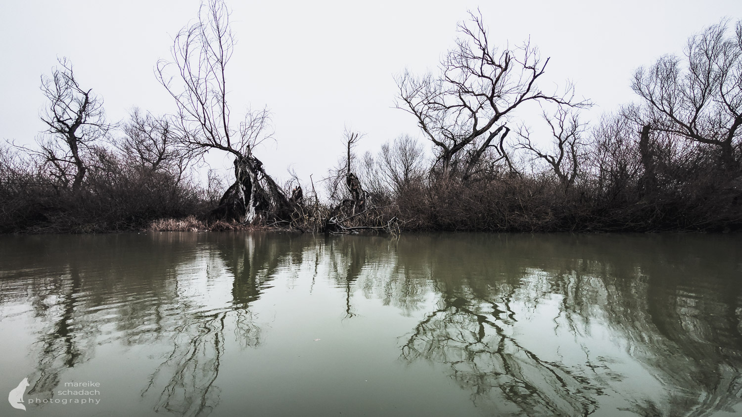 Winter im Donaudelta